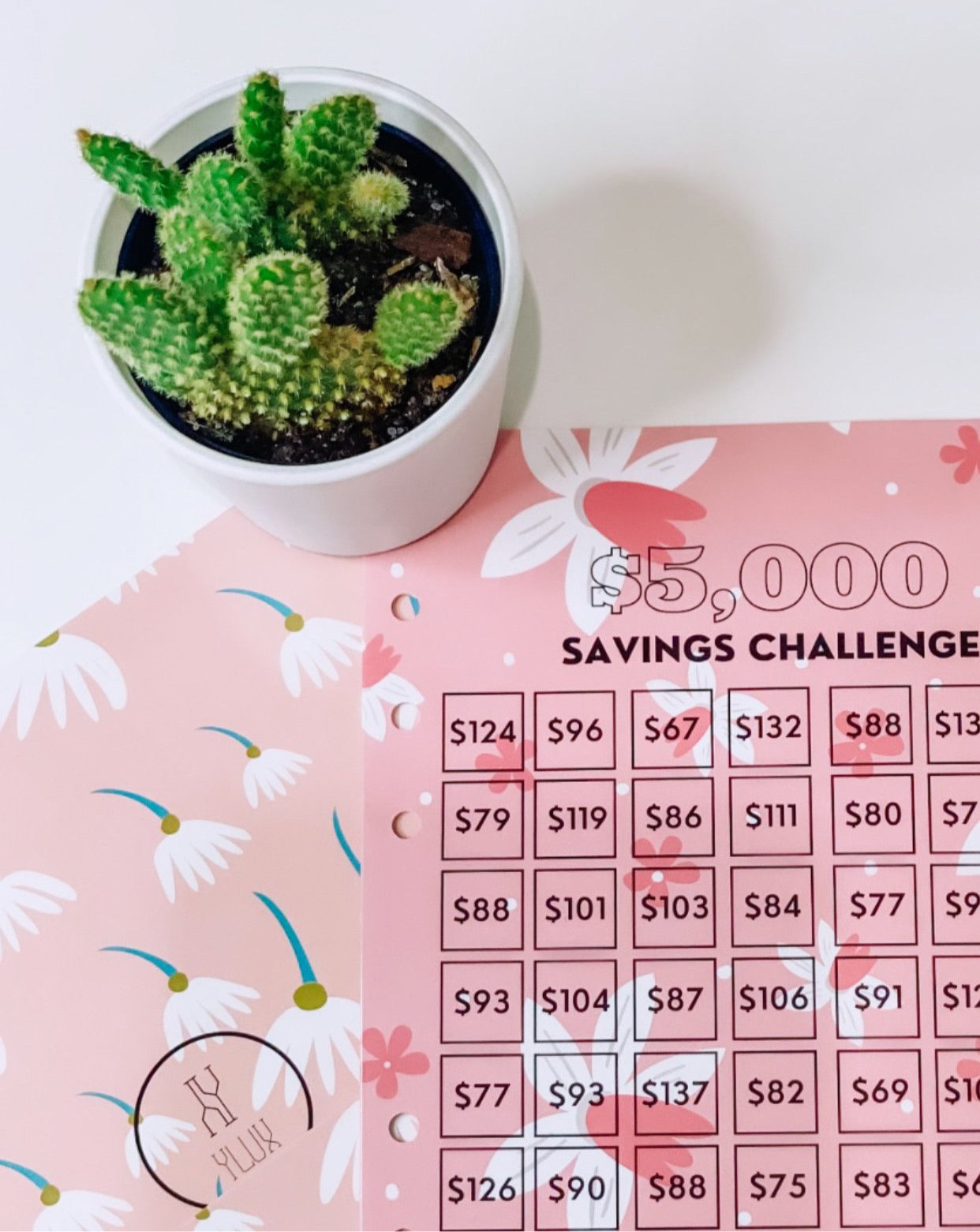 5k Savings Challenge Cash Envelope