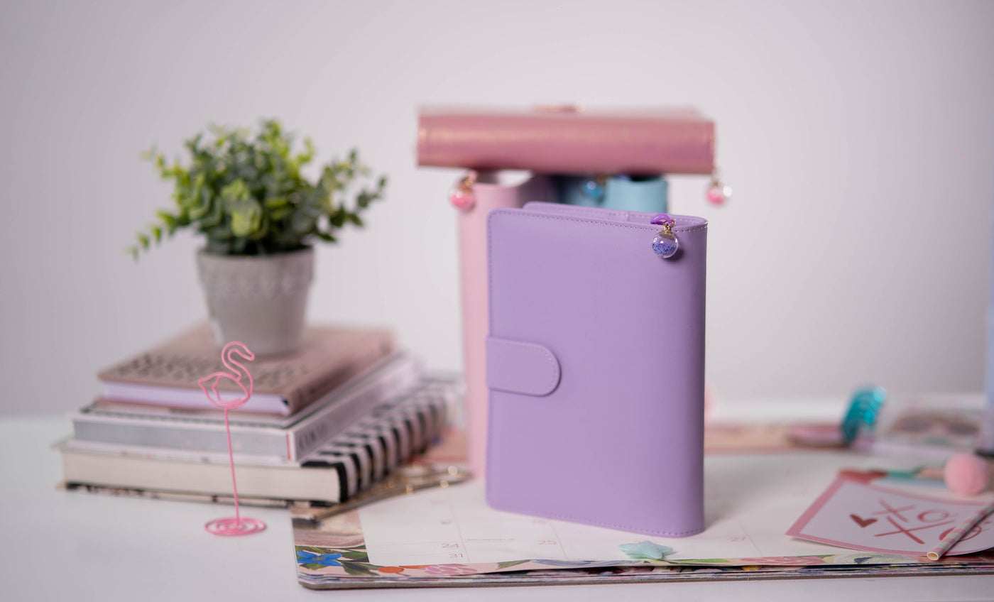 Pastel Budget Binder